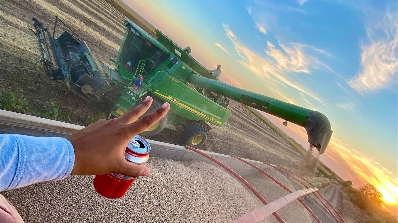 Como se cosecha el Garbanzo? Trilla con JohnDeere 9660STS 4x4🦌
