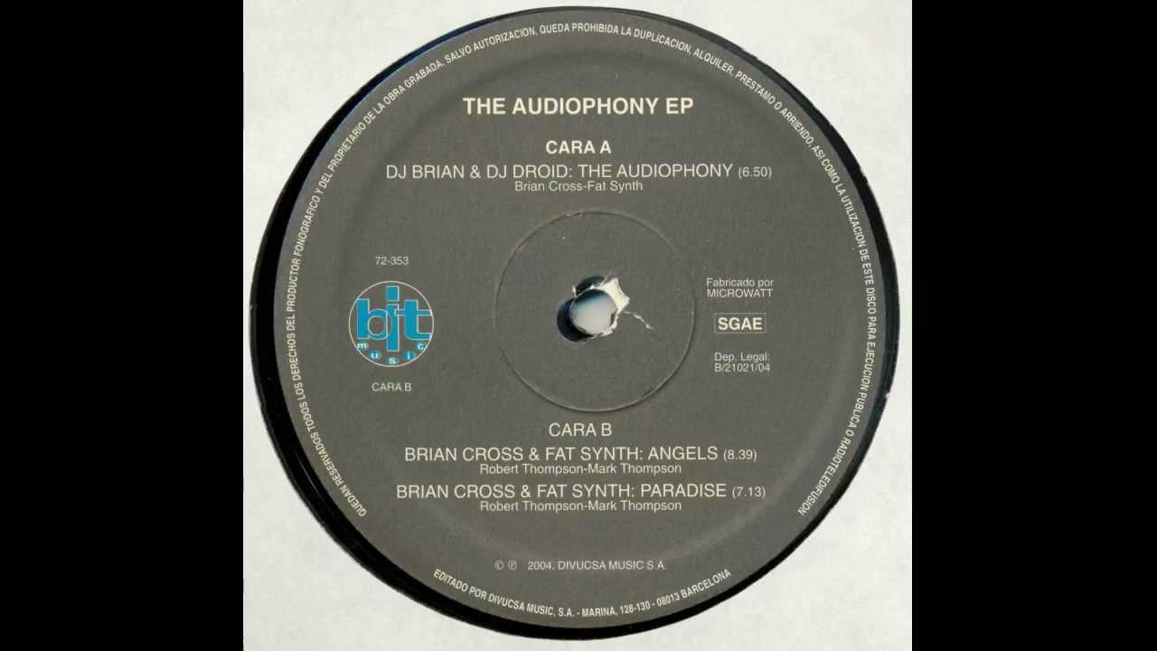 Brian Cross & Fat Synth - Paradise