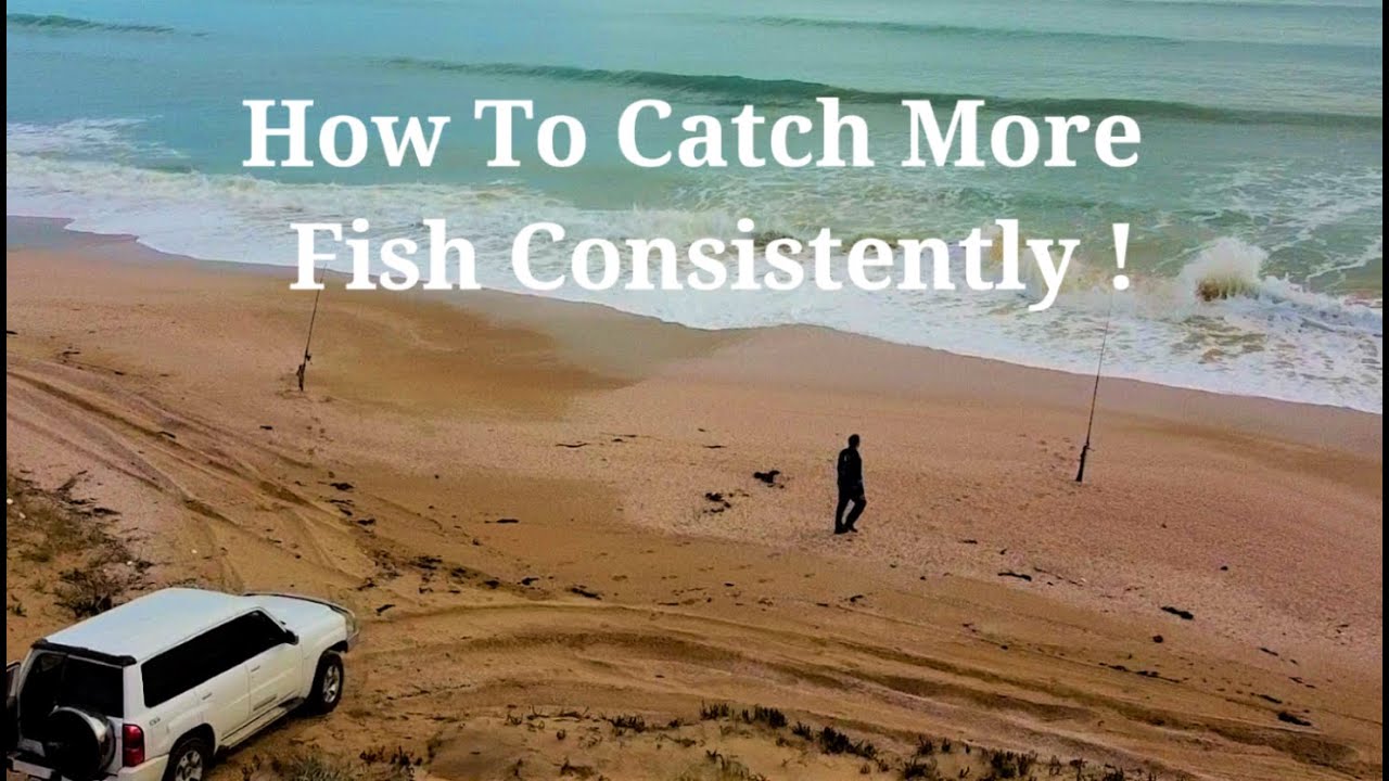 HOW TO CATCH MORE FISH CONSISTENTLY ! Ep 58