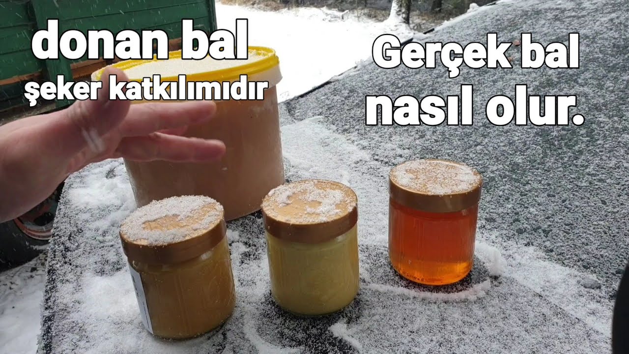 Arıcılık -  Hakiki bal nasıl anlaşılır, Kaliteli bal nasıl olmalıdır?Gerçek bal nasıl görülür?