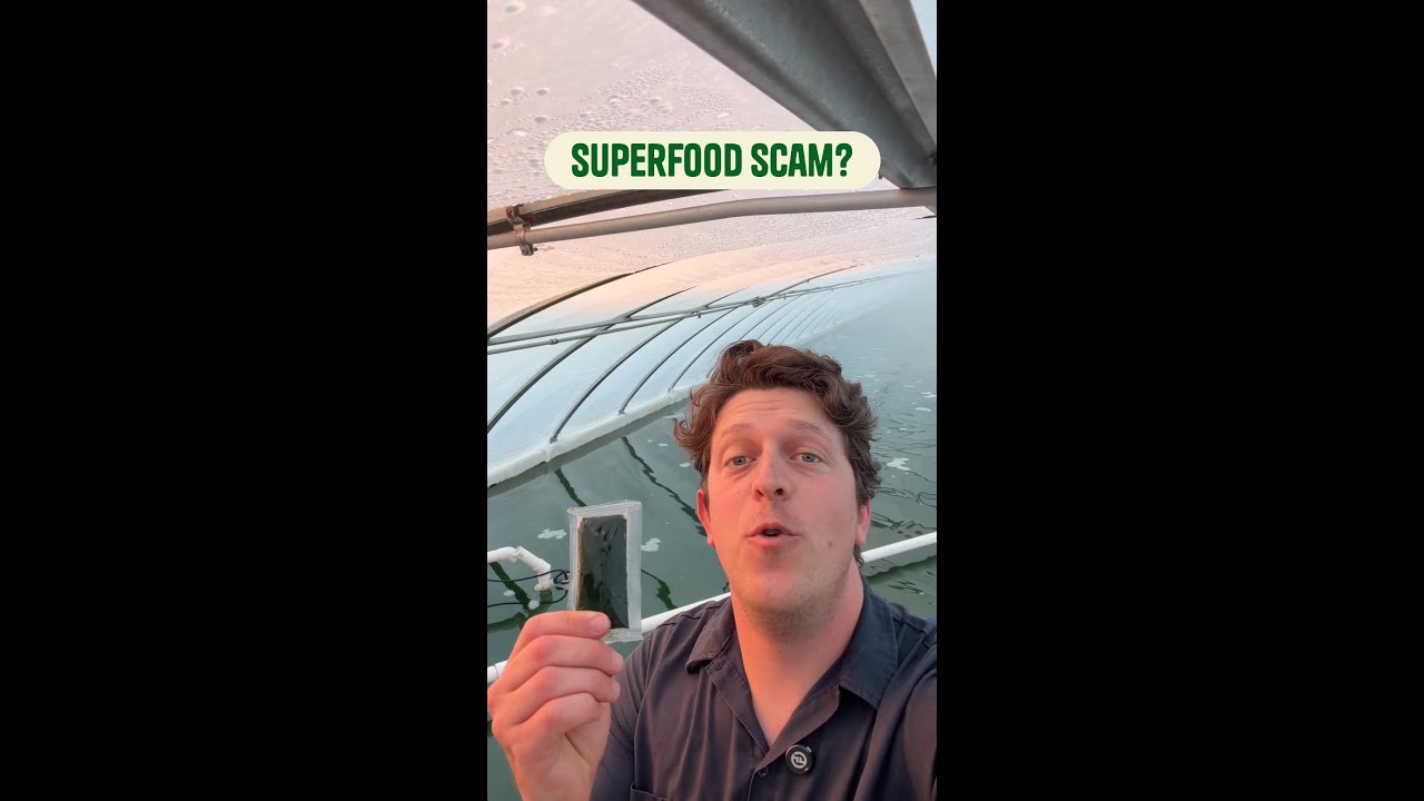 Are Superfoods Worth the Hype? Find Out!