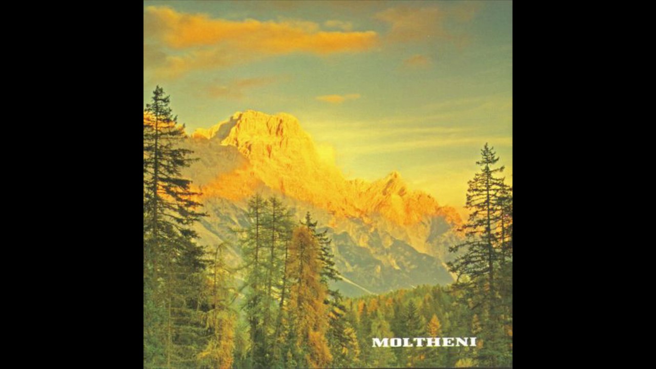 Moltheni - Felce