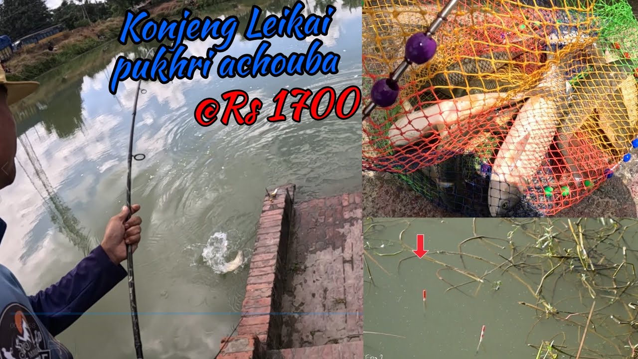 Khoi mela @Konjeng Leikai Pukhri Achouba #fishingvideo 