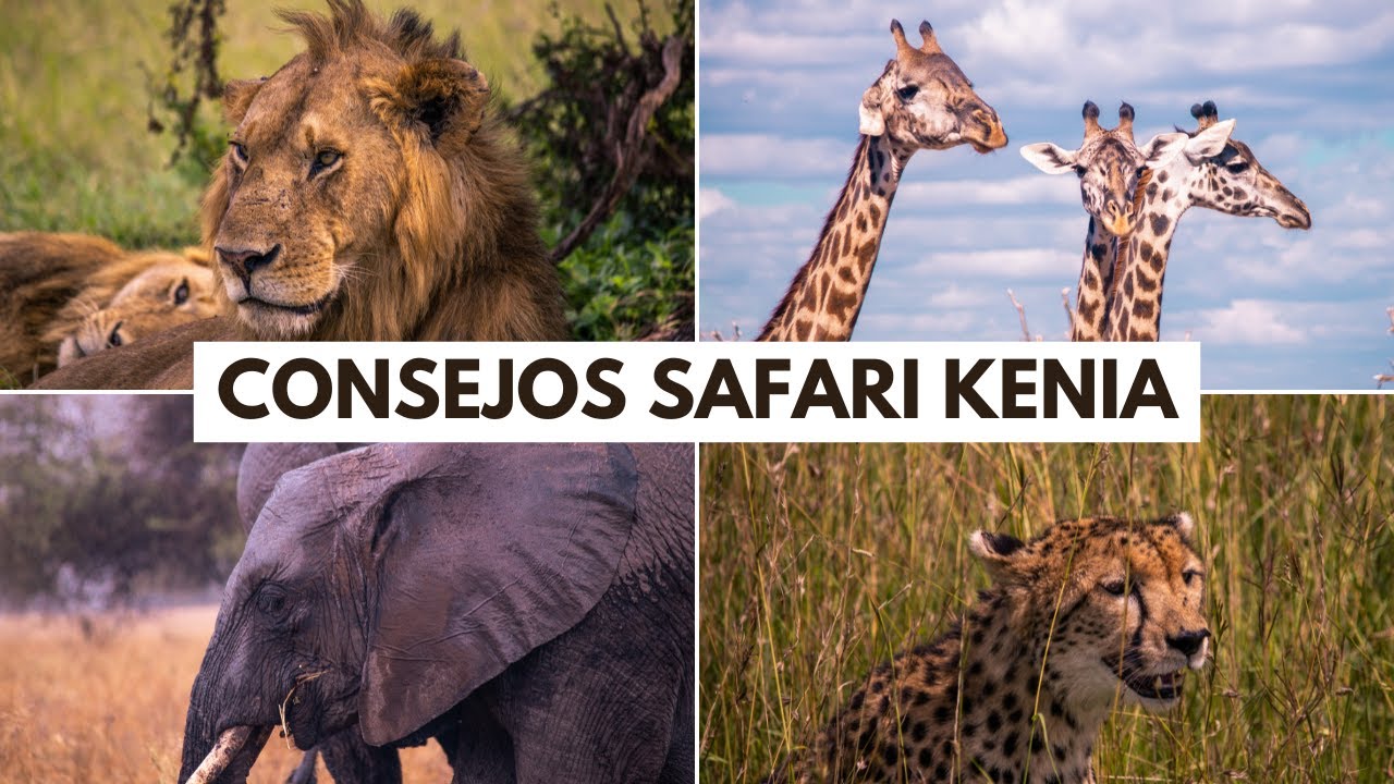 ¿Cómo ORGANIZAR un SAFARI por KENIA? | HONEYMOON #24 | SeguirViajando