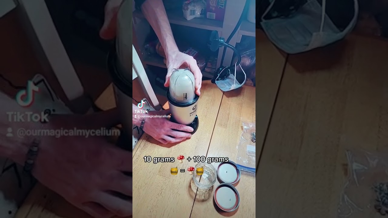 mushroom honey