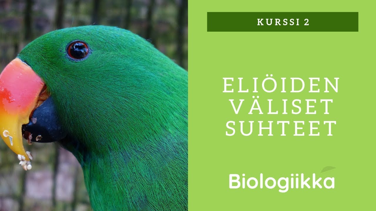 Sopu sijaa antaa - eli&ouml;iden v&auml;liset suhteet