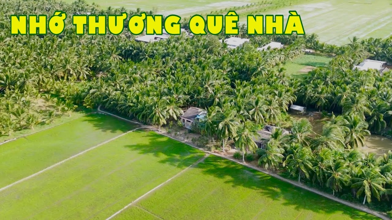 Ai dìa sông nước quê hương, cho tui gởi nỗi nhớ thương theo dìa| Đặc sản miền sông nước