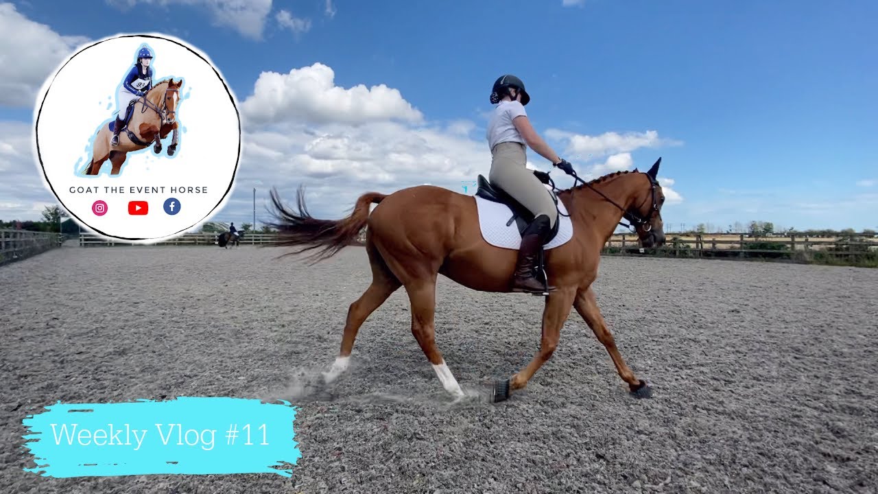 Weekly Vlog #11 | RIDING OUR FIRST EVER ELEMENTARY TEST | Goat The Event Horse