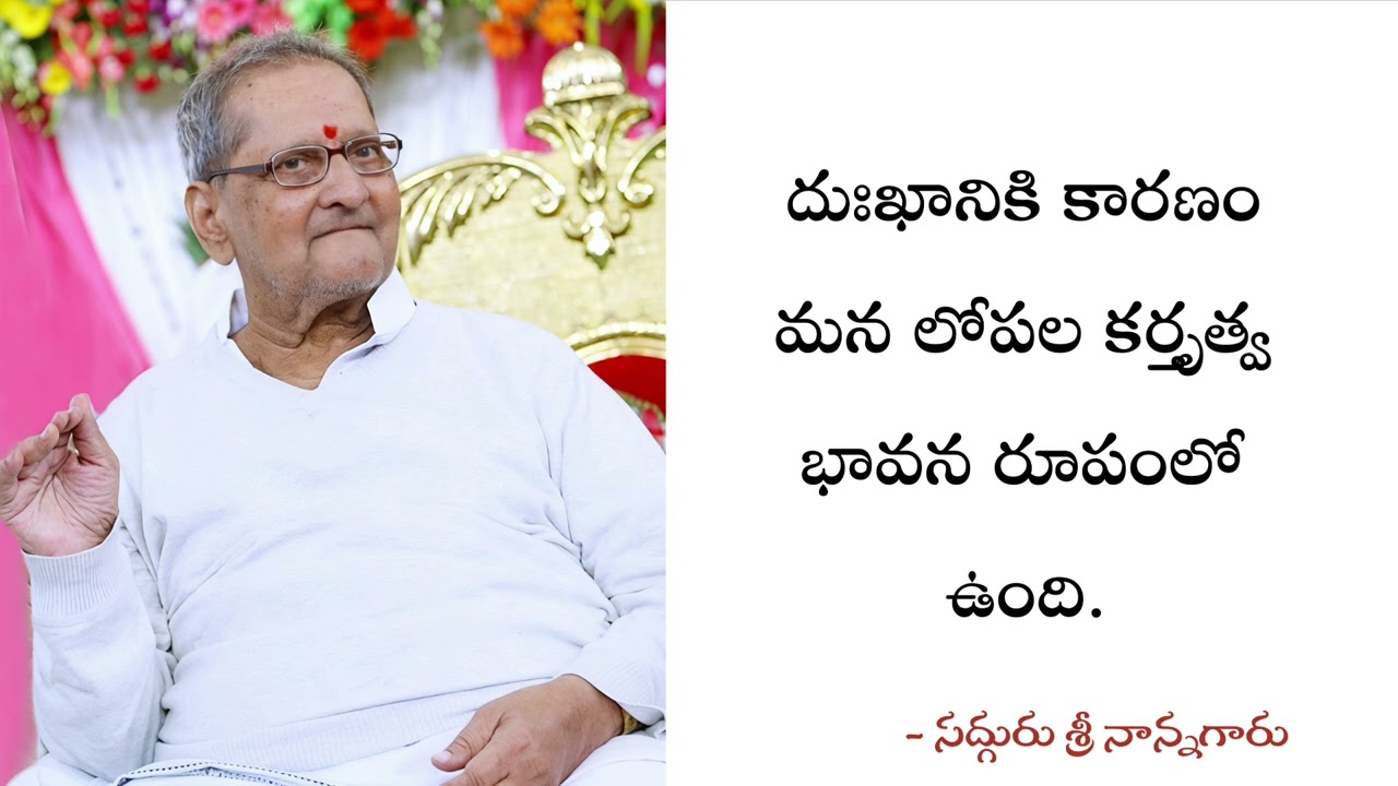 దుఃఖానికి కారణం మన లోపల కర్తృత్వ భావన రూపంలో ఉంది. - శ్రీ నాన్నగారు 