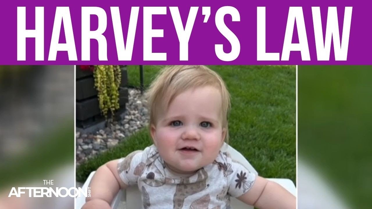 Harvey's parents explain “Harvey’s Law” and what it could mean for Minnesota