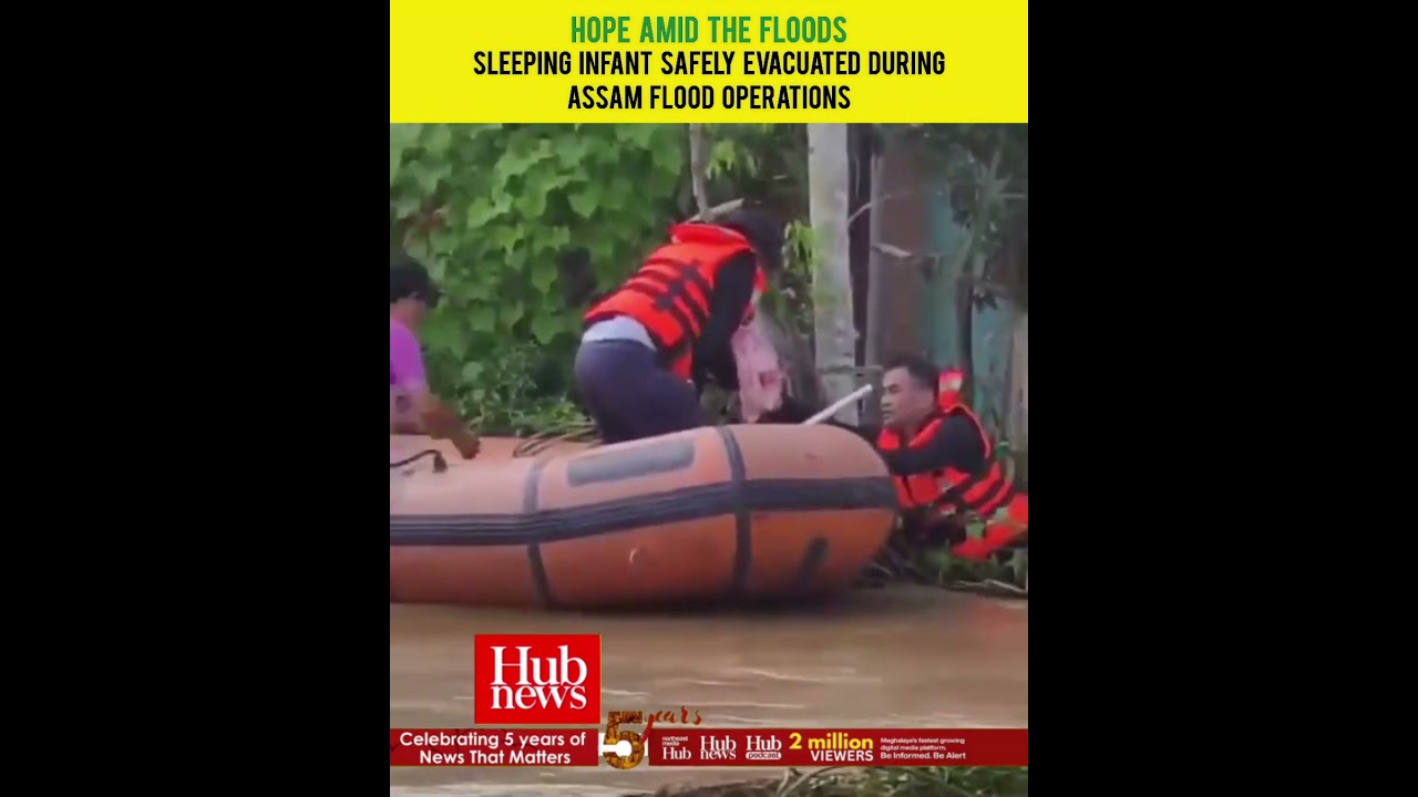 One Heartwarming Rescue Amid Assam's Devastating Flood Crisis