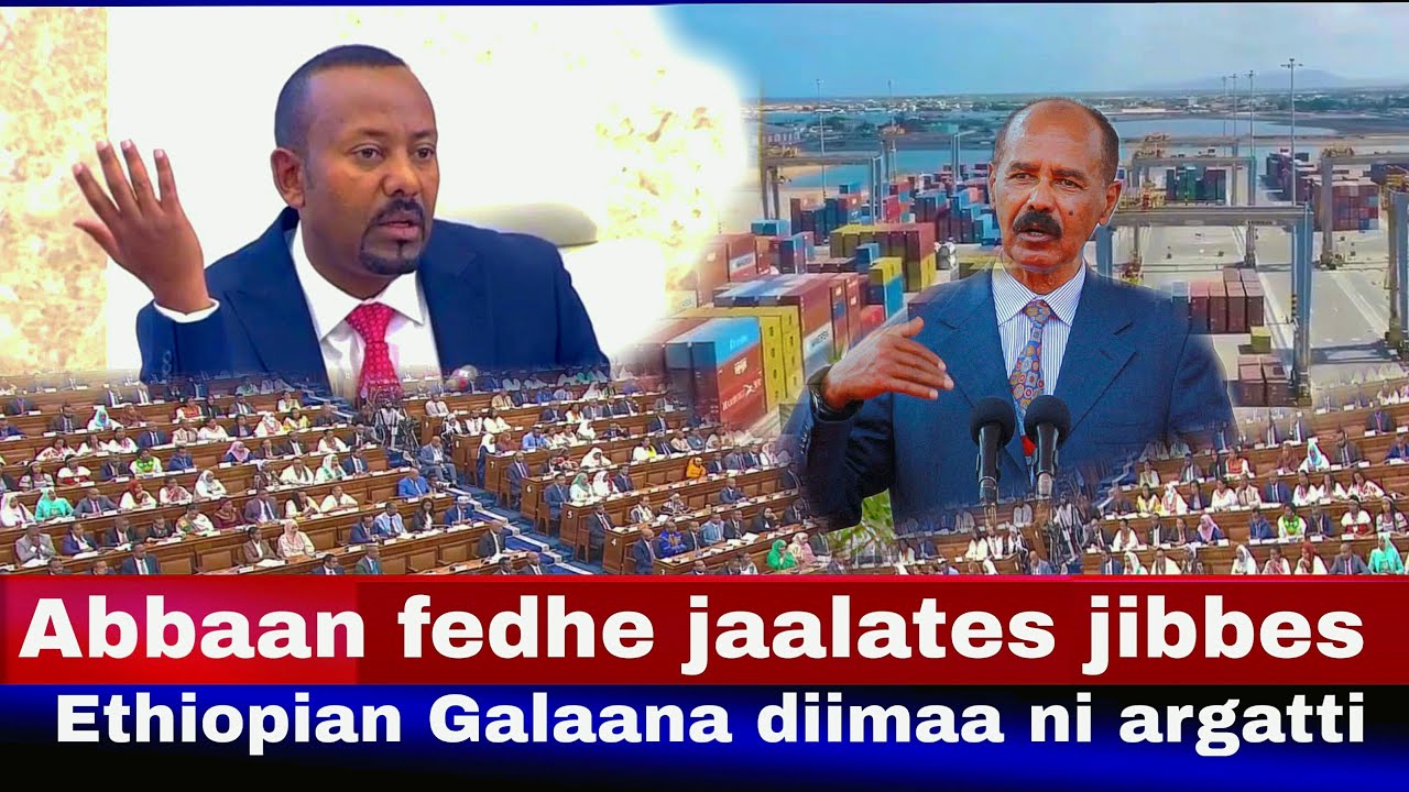 Jaalatanis jibbanis Ethiopian Hulaa galaana Diimaa ni argatti | MM Abiy Ahmed