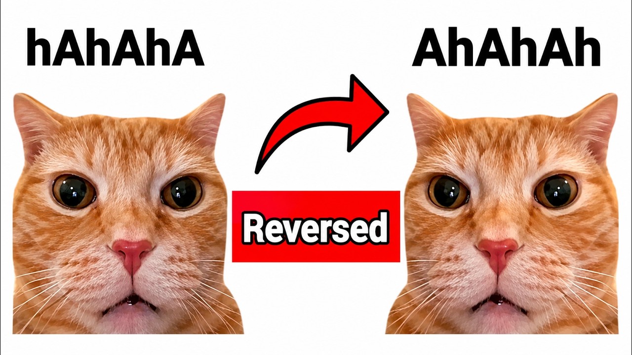 Famous Cat Memes😺| Normal VS Reversed