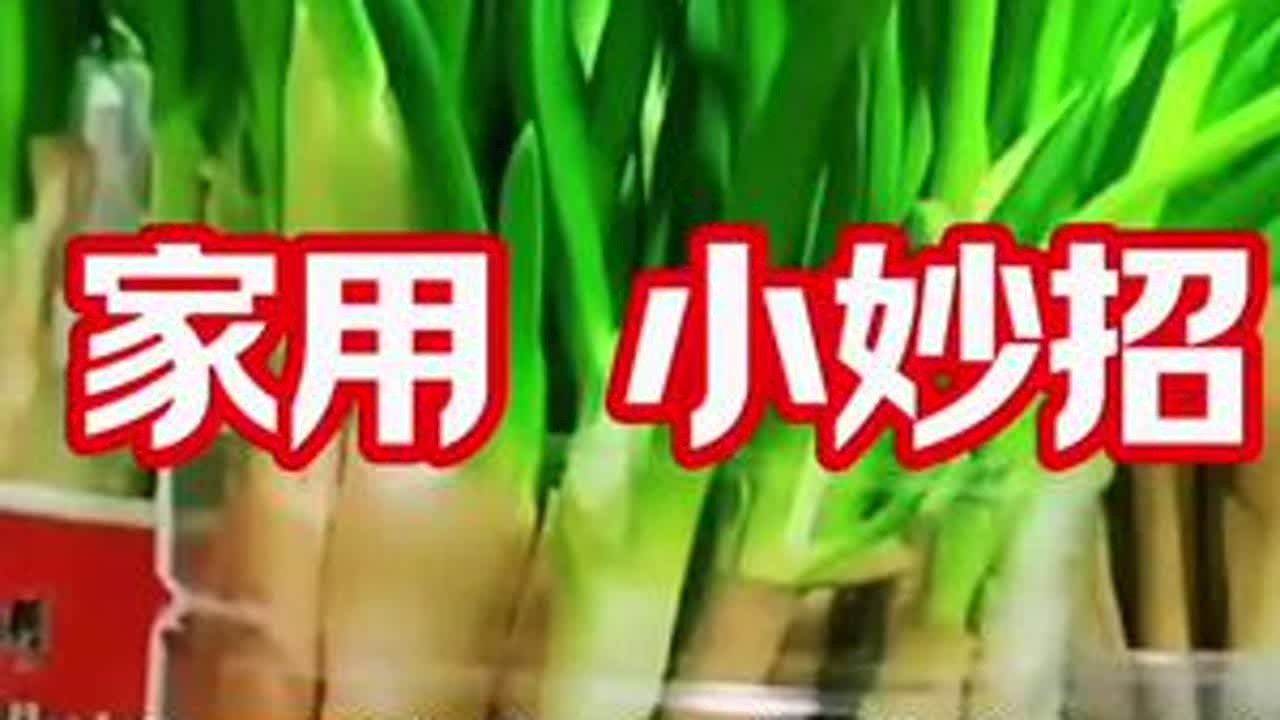 大葱储存根不烂白不空新鲜大葱吃一冬 家用小妙招#抖音助农 #我要上热门🔥 #教你一招