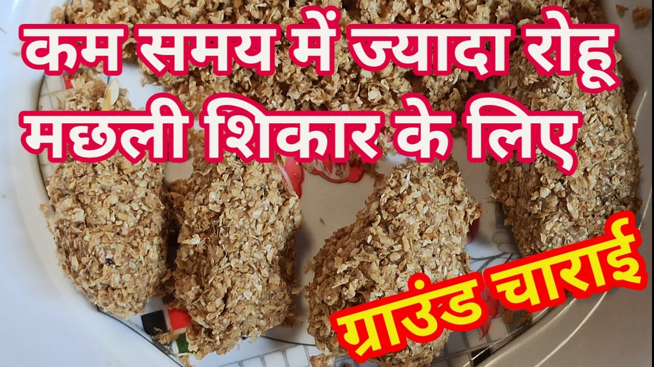 रोहू मछली का आसान ग्राउंड चराई || कम समय में ज्यादा शिकार करने के लिए || Sundar Bihar