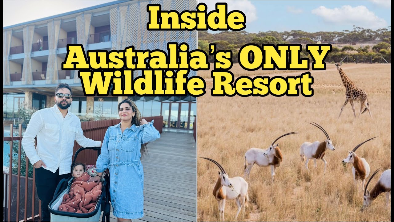 Who Said Adelaide Is Boring? Come See Australia’s ONLY Wildlife Resort!… Totally Blew Our Minds!