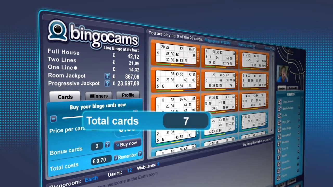 Bingocams Bingo Basics (Bingocams HD Video)