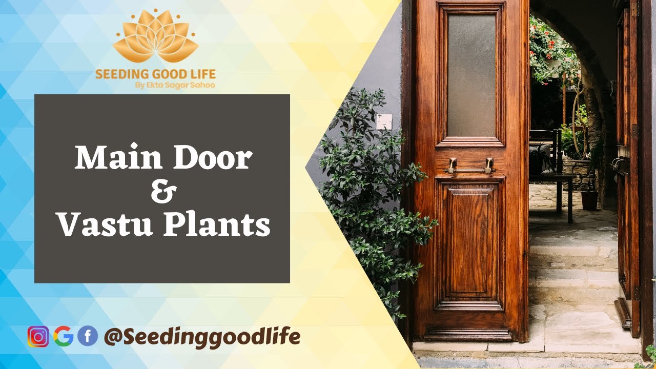 Vastu plants For Main Door | Vastu For Entrance Gate | Main Entrance Vastu plants