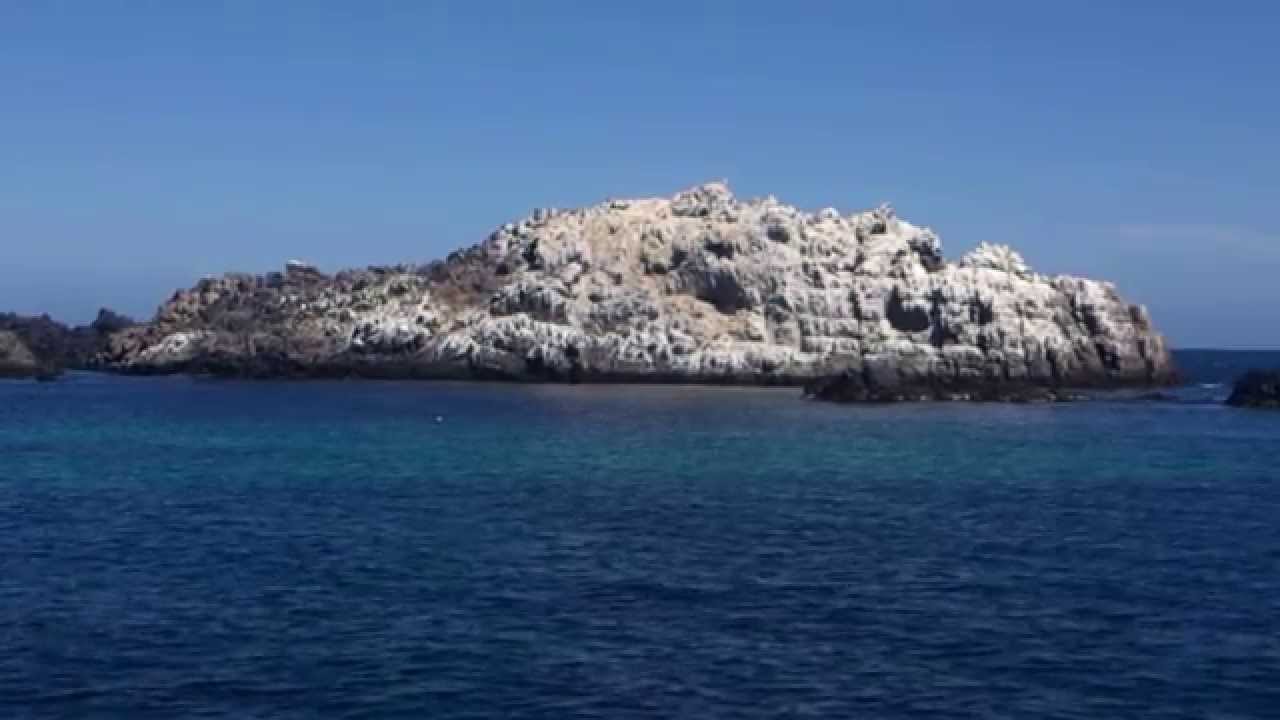 Islote Blanco, Barranquillas, Atacama, Chile