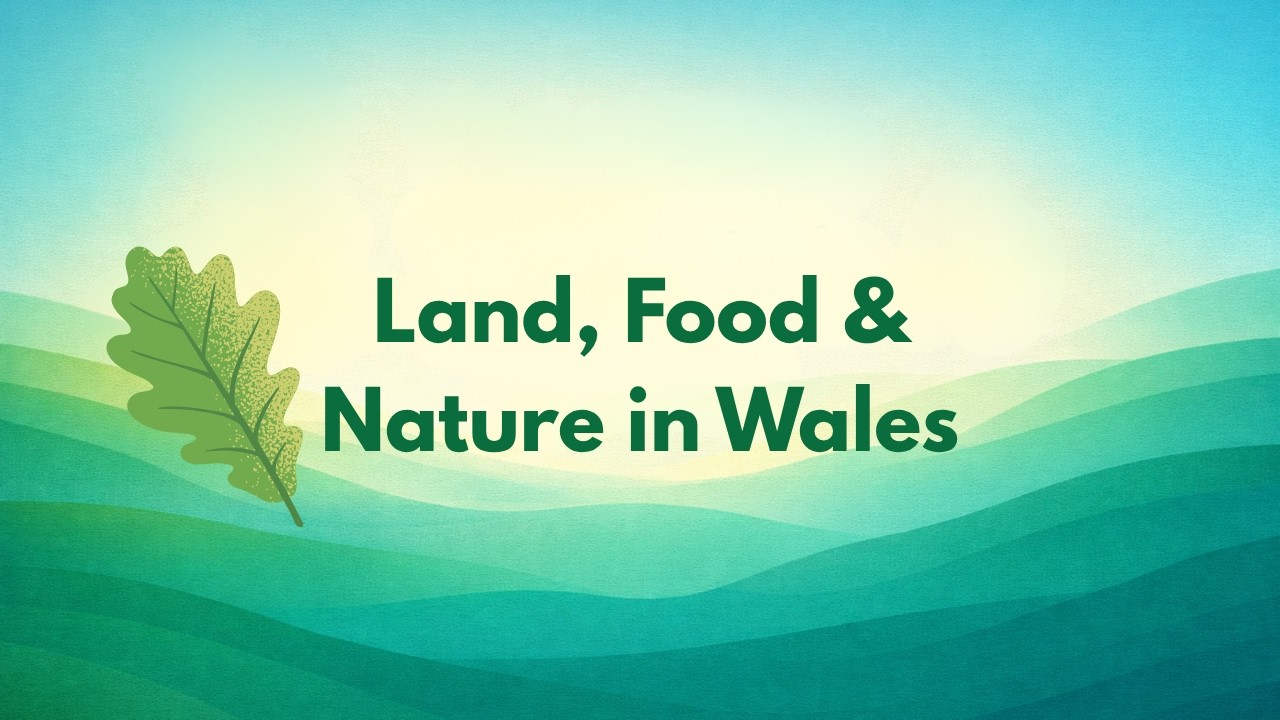 Coalfield Flower Farm | Growing Biodiversity in the Welsh Valleys