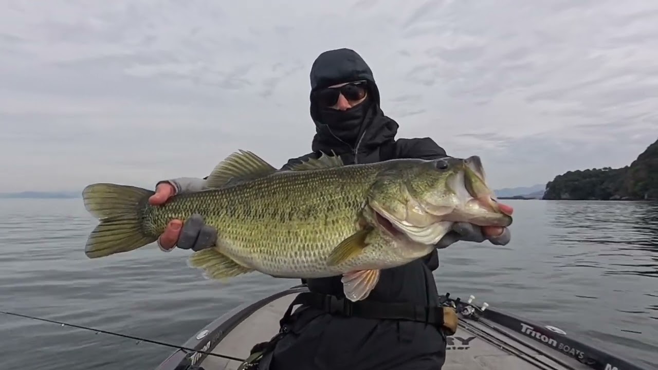 Lake Biwa Bass Fishing / Pesca al Bass sul lago Biwa / 琵琶湖バス釣り/  배스낚 빅베이트 비와호