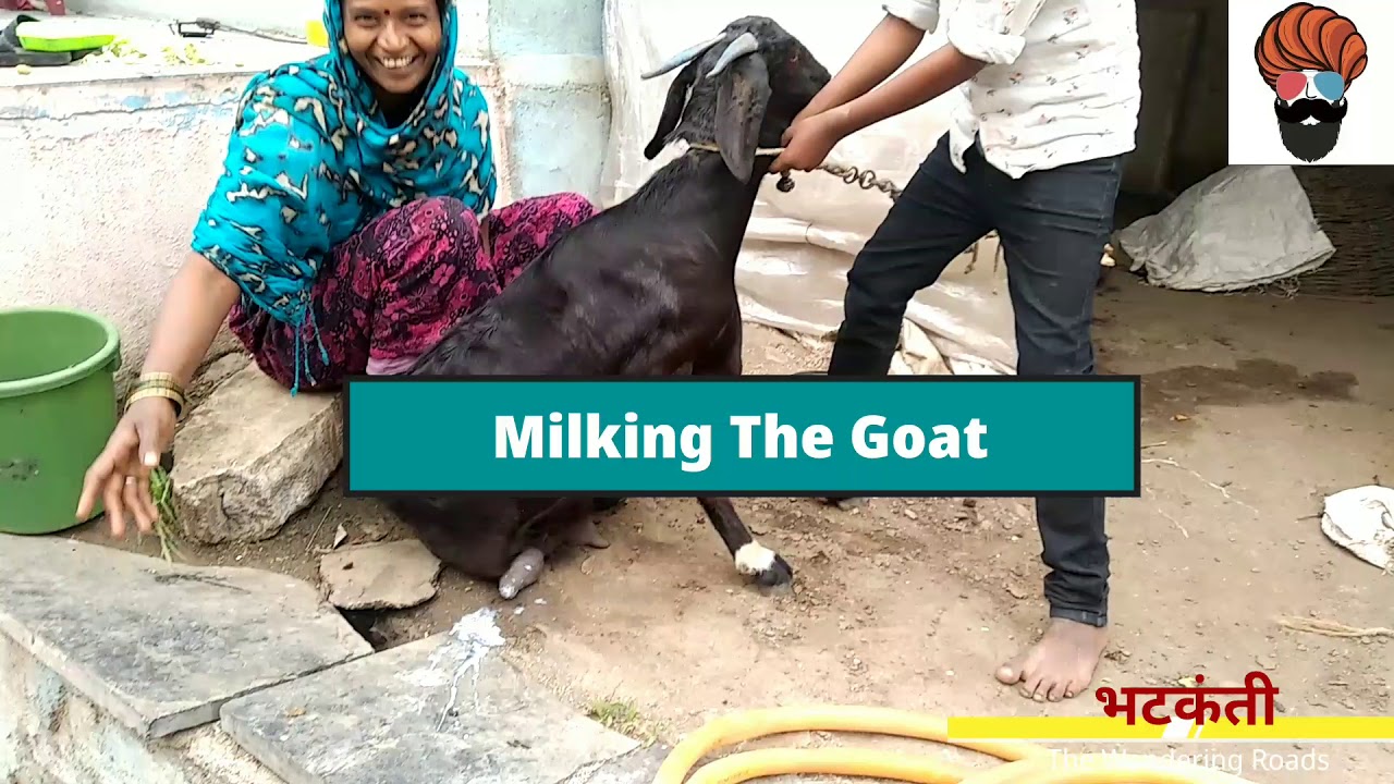 Village Milking The Goat   The Wandering Roads Full HD 1080p