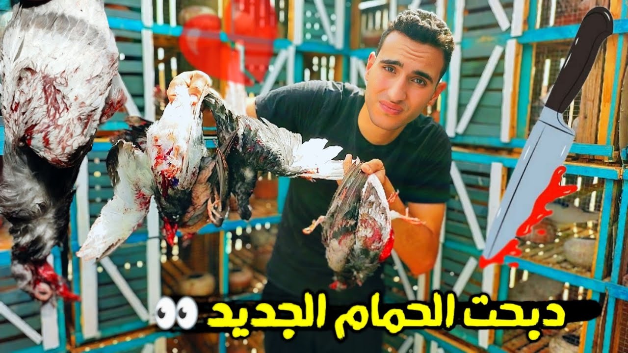دب.حت الزغاليل الجديدة 😱 وطيرت الحمام الزاجل (قضيت عليهم بايدي)