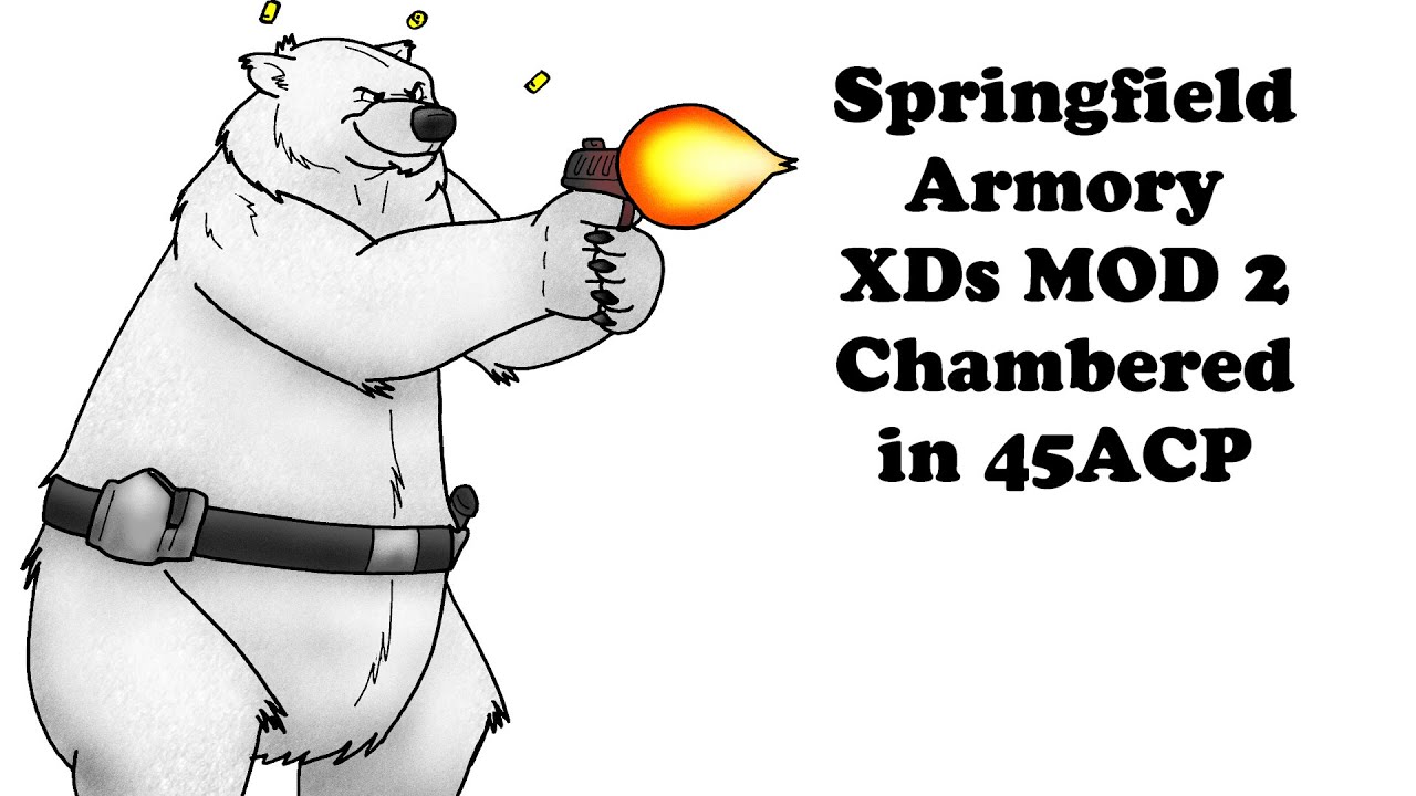 Springfield Armory XDs 45ACP MOD 2