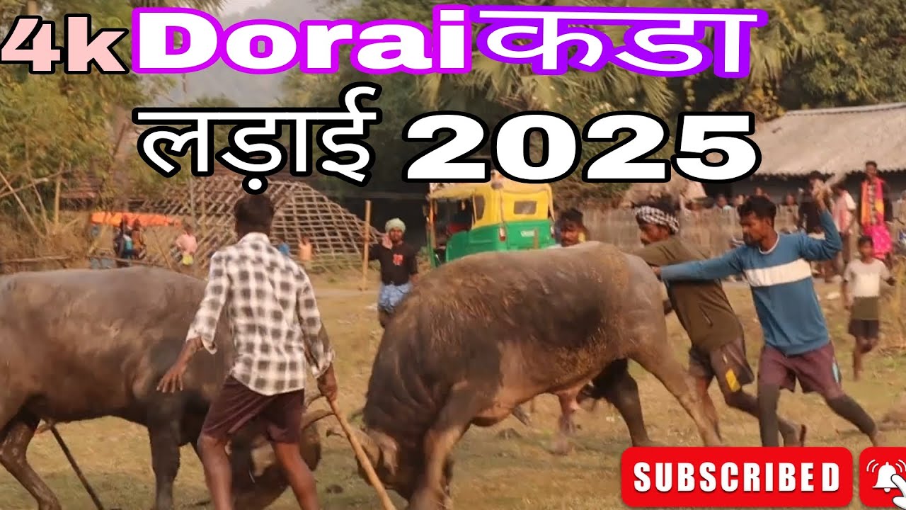 Rohra Vs Mandahlo || Kada Ropok Dorai 2025 
