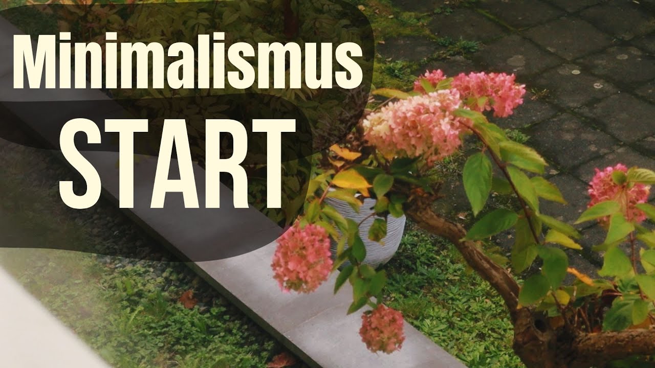 START v MINIMALIZM | Chto by ya sdelal? (yesli by ya nachal snova)