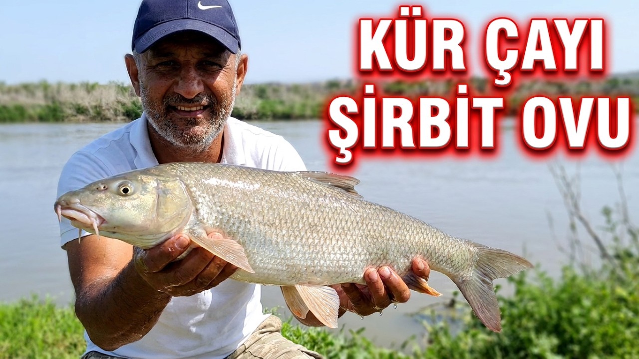 ƏYYUBLU KƏNDİ K&Uuml;R &Ccedil;AYI / ŞİRBİT (DİŞDİ) OVU / ЛОВЛЯ УСАЧА / BARBEL FİSHİNG