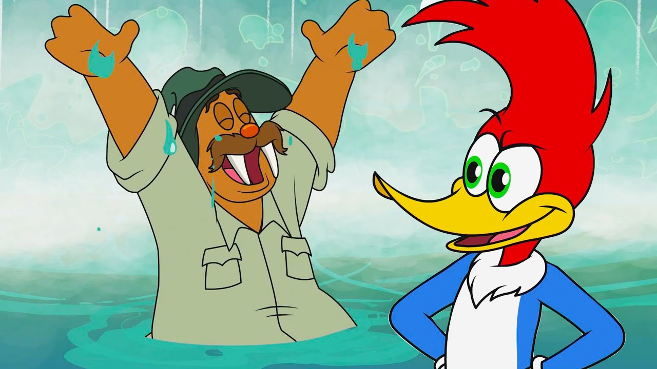 Woody Wants to go Swimming! 🌊  | Woody Woodpecker