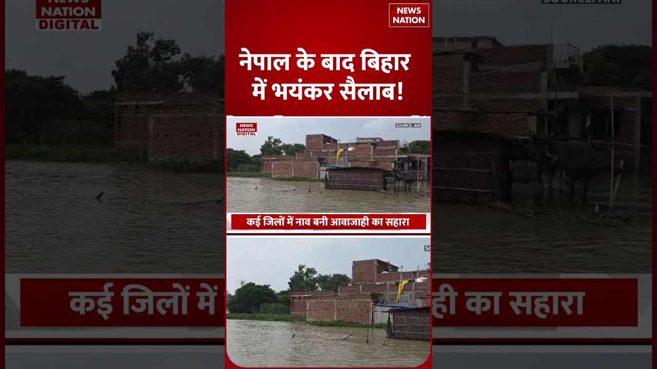 Bihar Flood Alert News: Nepal के बाद Bihar में भयंकर सैलाब! | Ganga | Gandak | Patna