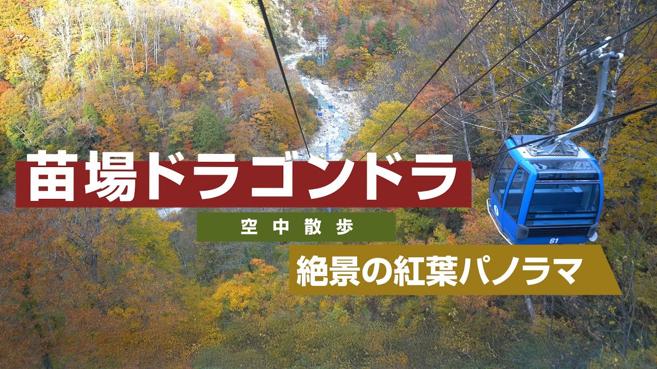 苗場ドラゴンドラ 絶景の紅葉パノラマ【空中散歩】