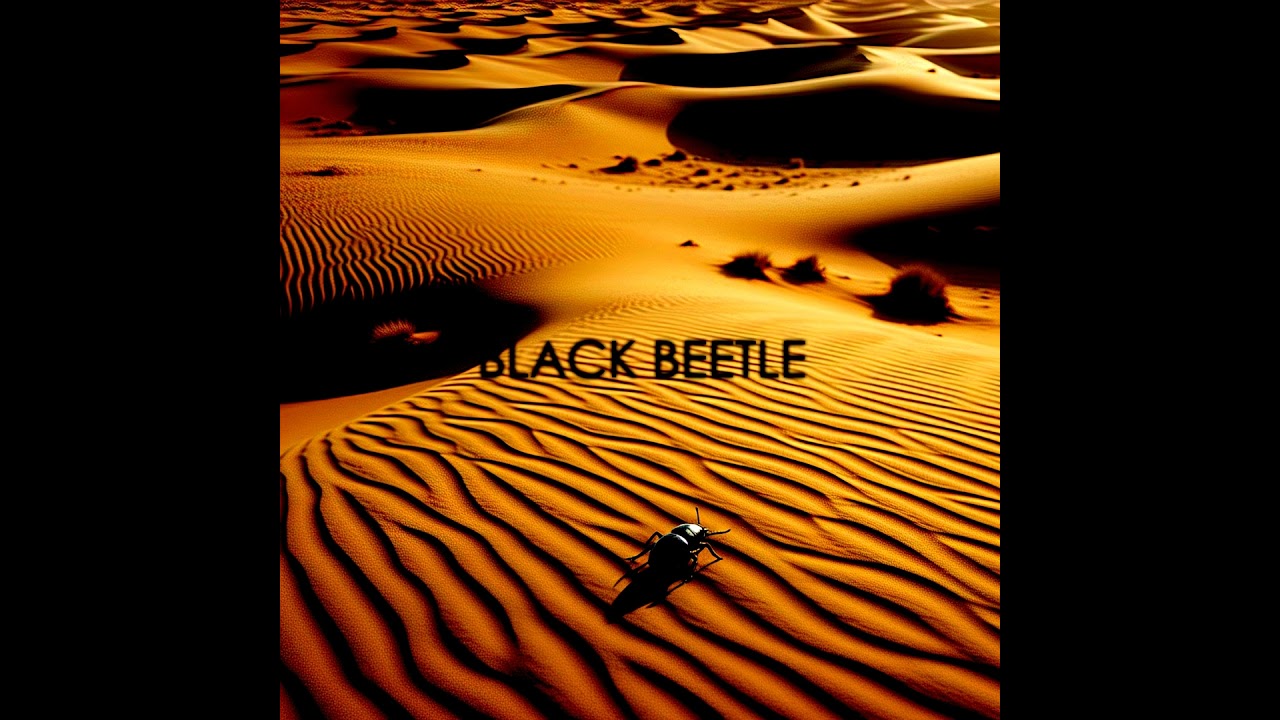 BLACK BEETLE