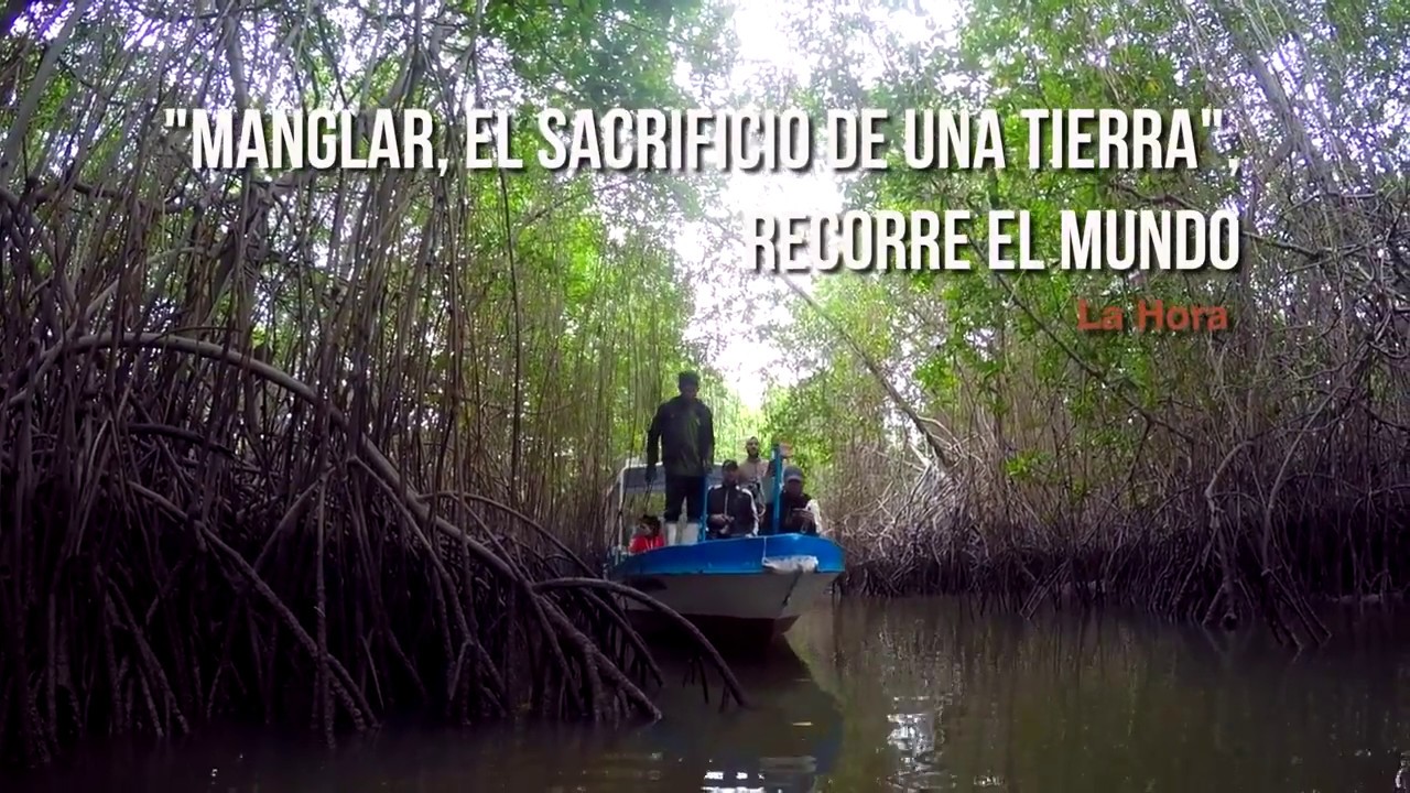 Alain Chaviano Aldonza   Mangrove, The sacrifice of a land  trailer