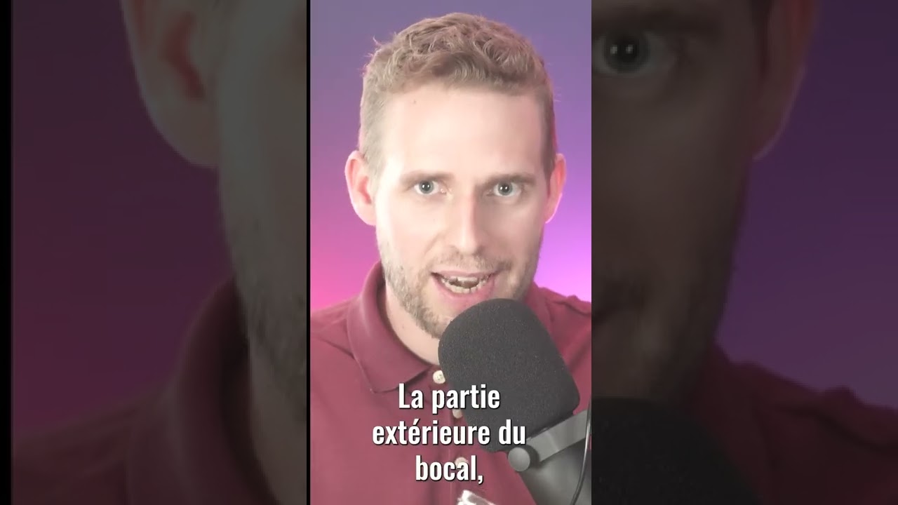 Le coaching scolaire expliqu&eacute; en 55 secondes