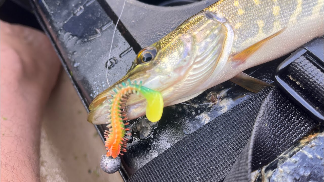 Lure fishing on the Thames from a kayak
