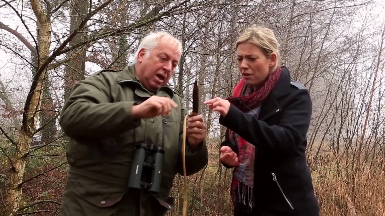 Boxtel Natuurlijk! Aflevering 8  Banisveld