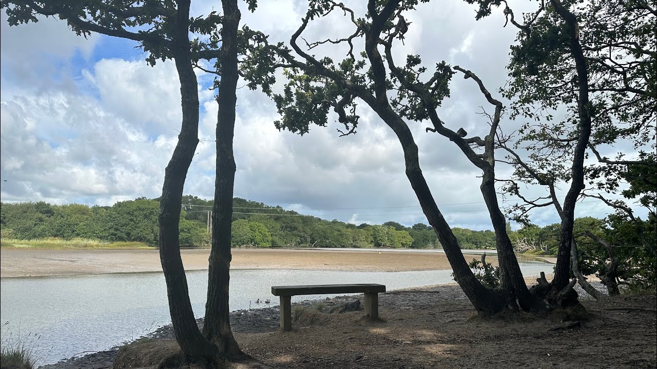 A walk through Firestone Copse, Isle of Wight July 2023