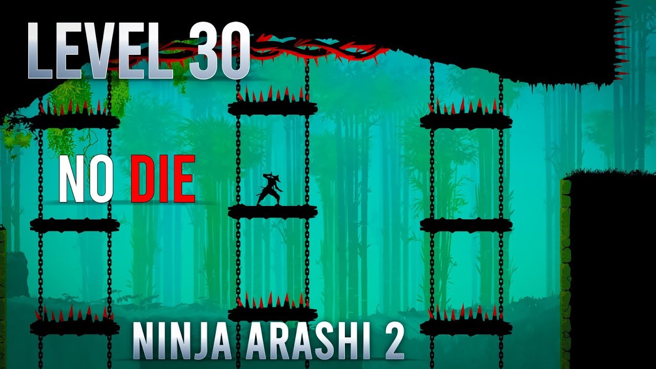 Ninja Arashi 2 Level 30