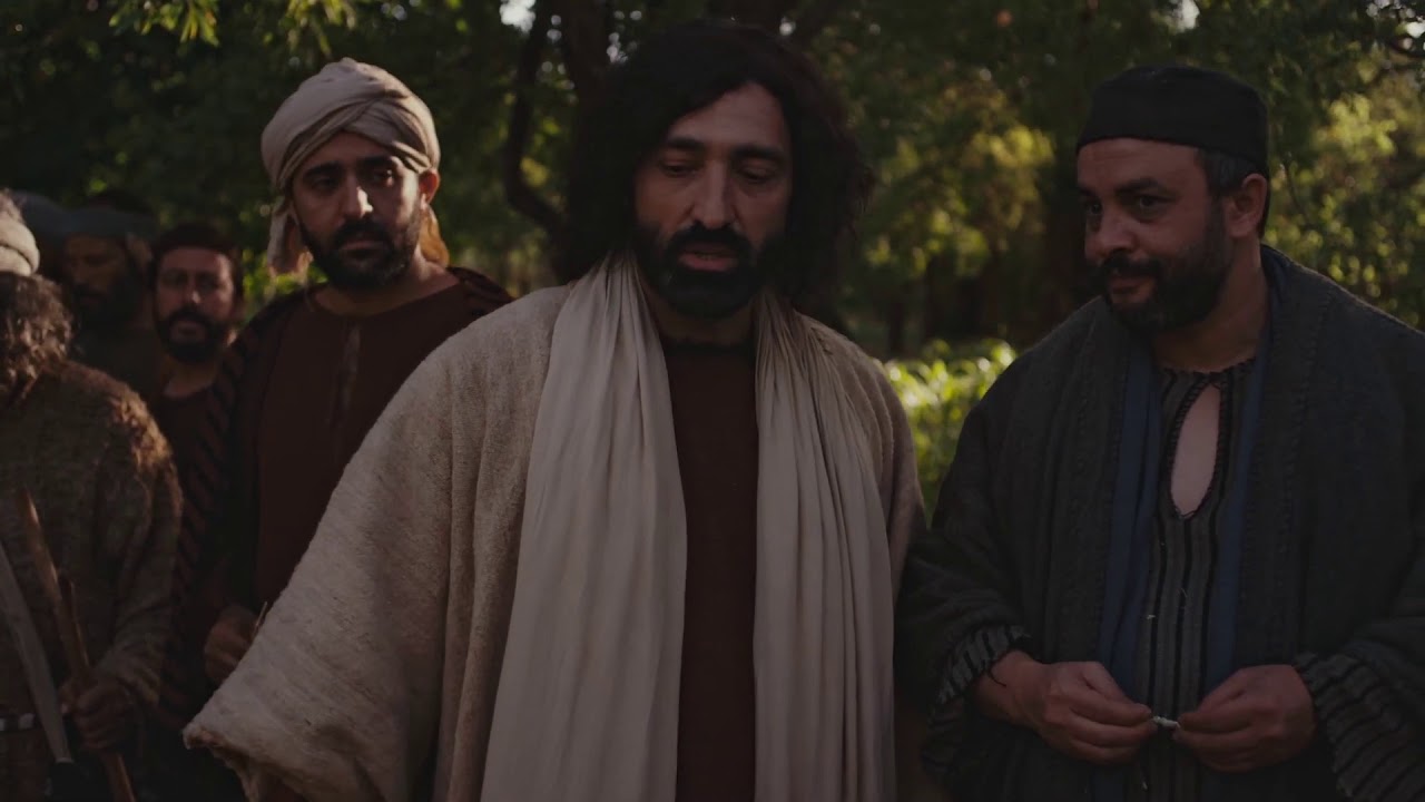 MATEO 12:1-21