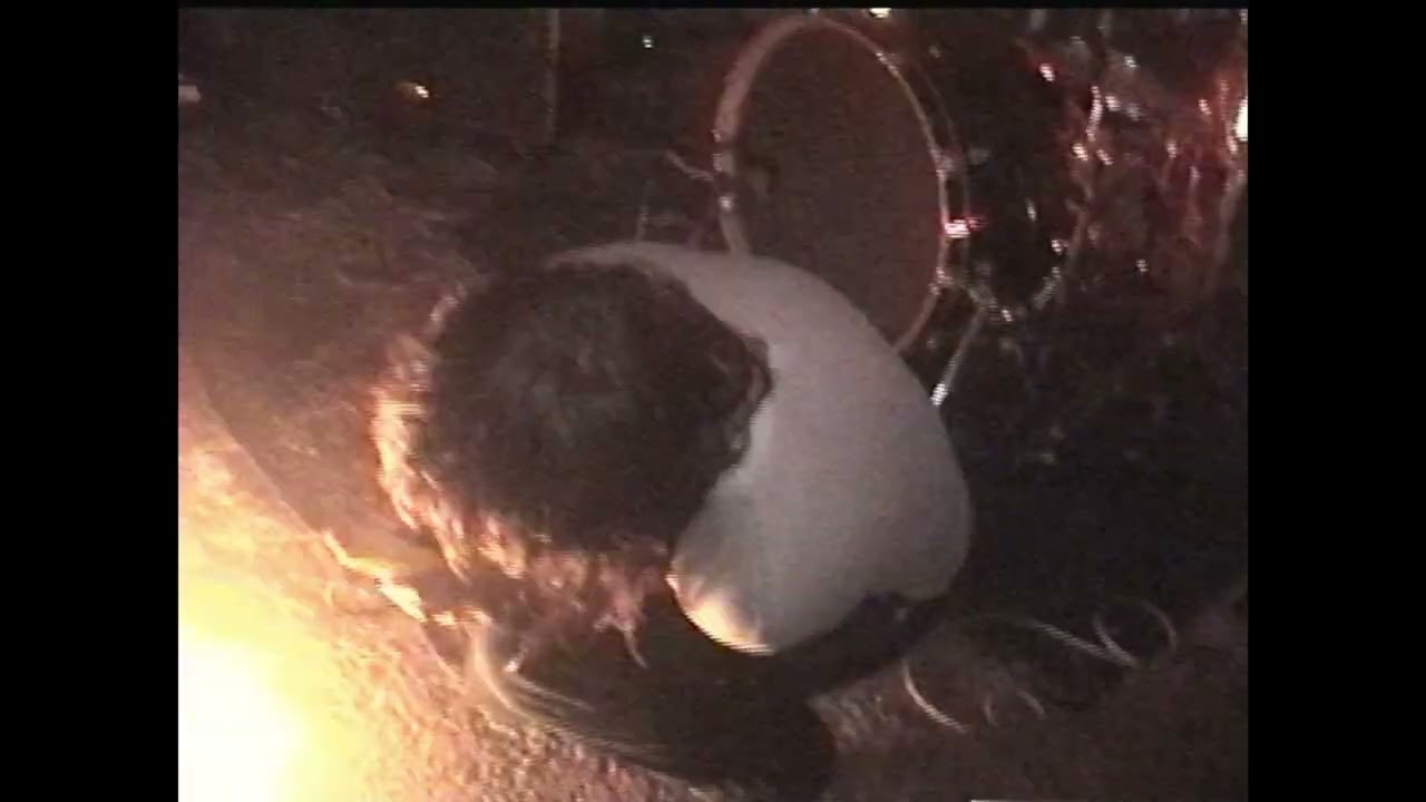 The Pacifist, Molotov Skateshop, December 13th, Bowling Green, KY