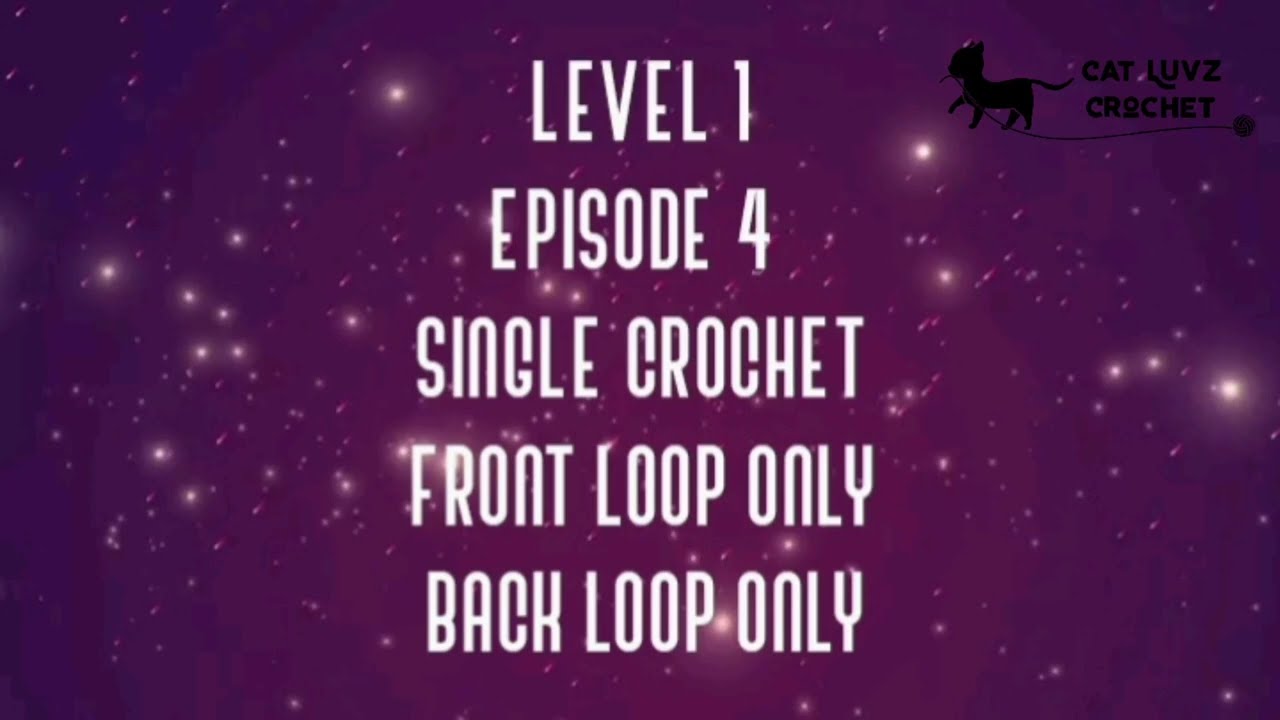 L1 E4 Single Crochet, Front Loop Only, and Back Loop Only.