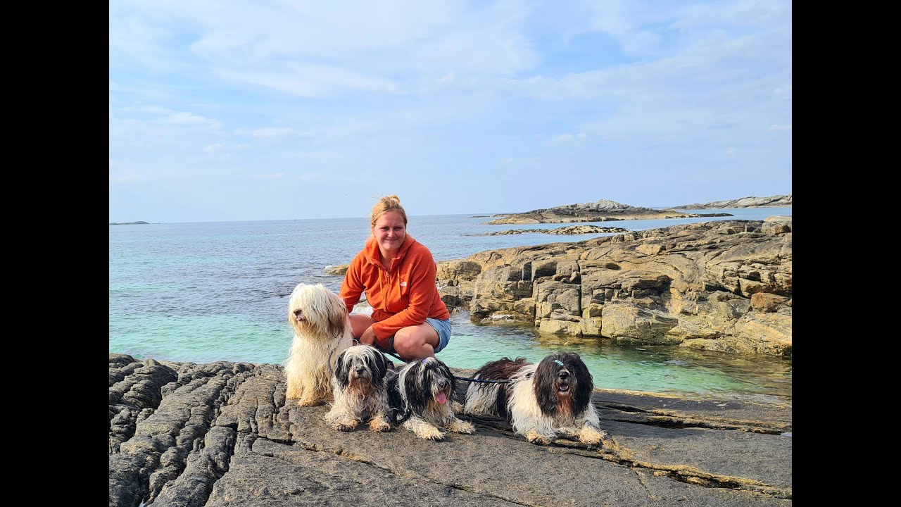 Polish Lowland Sheepdogs in Norway - Wild camping with dogs, Pontoya kennel
