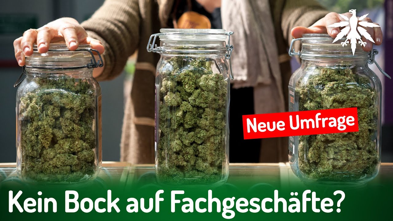 Kein Bock auf Fachgesch&auml;fte? Neue Umfrage | DHV-News # 494