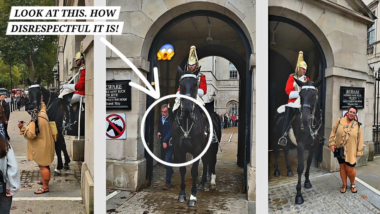 She Invaded the Box & Touched the Horse. King's Guard Reacted, & She Complained to the Police