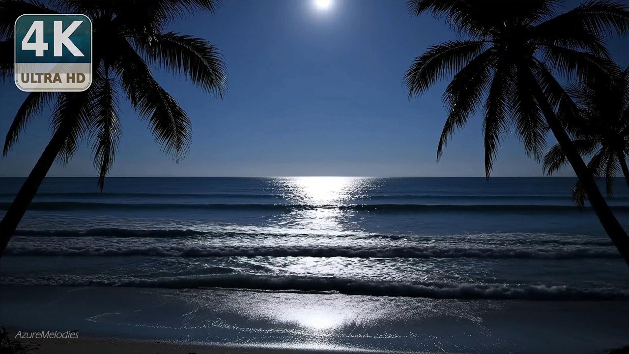 Moonlit Waves on a Silent Tropical Shore | Midnight Ocean for Deep Sleep (3 Hours)