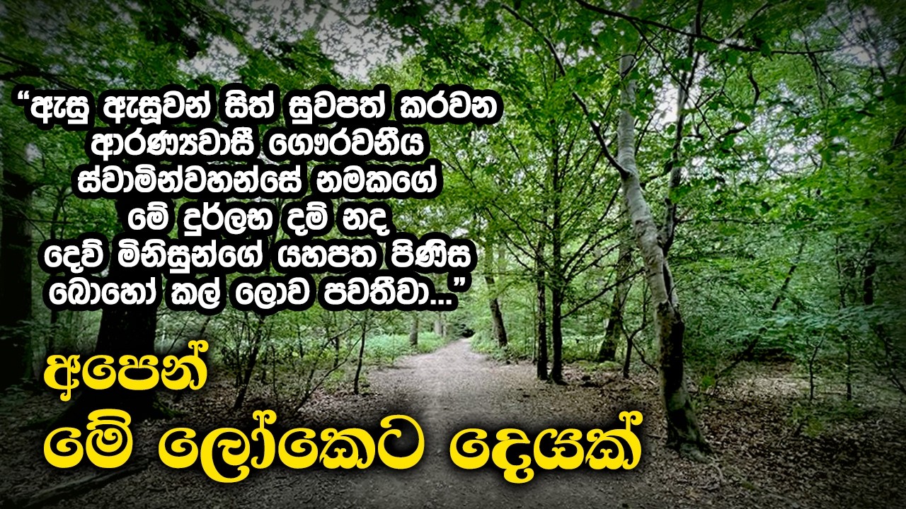 අපෙන් ලෝකෙට දෙයක් | Samma Ditthi UK