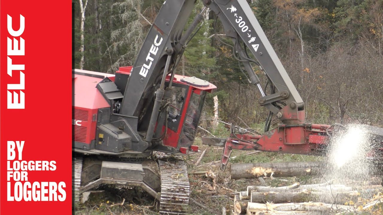 Eltec Feller Buncher 317